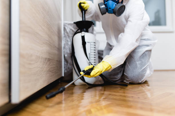 Best Termite Control Services  in West Milton, OH