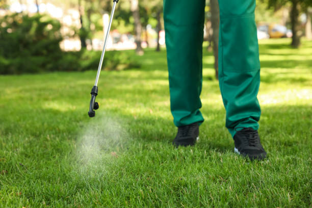 Best Pest Control Near Me in West Milton, OH
