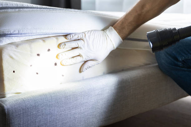 Professional Pest Control in West Milton, OH