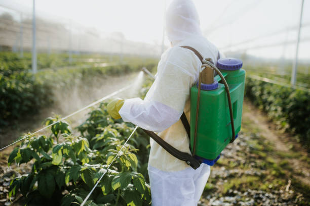 Best Pest Inspection Near Me  in West Milton, OH